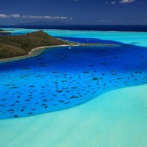 Meet your Posher, Trevor